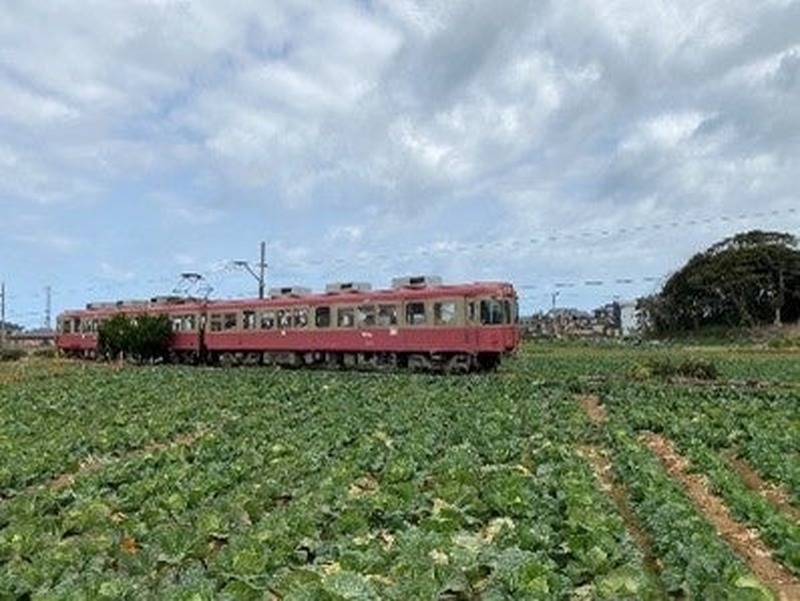 【貸切列車イベント！】「ワインソムリエと楽しむ！～銚電JAF号崖っぷち行～」開催