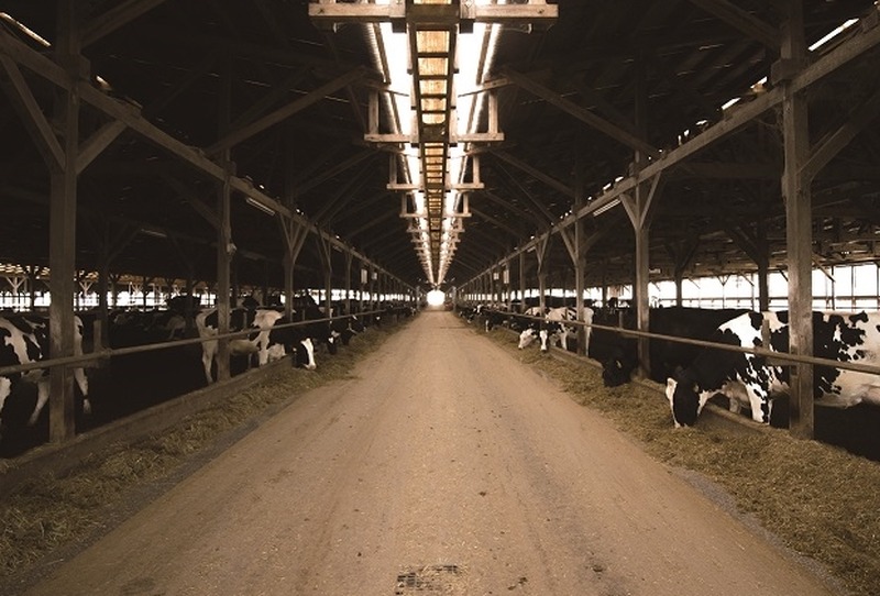 【忘新年会限定！】かみむら牧場「超和牛マニア食べ飲み放題コース」が120分・6,000円で販売