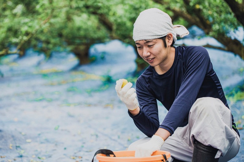【47億円の被害を跳ね除けろ！】雹から梅を救う「SANABURI LIQUEUR ウメ prototype04　（梅リキュール with 梅ボーイズ）」発売