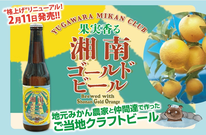 【発泡酒「湘南ゴールドエール」がビールに格上げ！】果実香る「湘南ゴールドビール」発売
