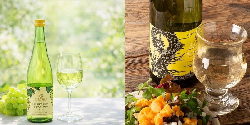 【サンクゼールの人気No.1ワイン「ナイアガラブラン」と「長野竜眼」をお届け！】2025年産の新酒が解禁