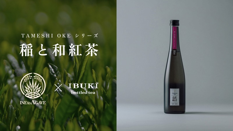 【紅茶を使ったのにマスカットのような香り！？】クラフトサケ「稲と和紅茶」が新登場