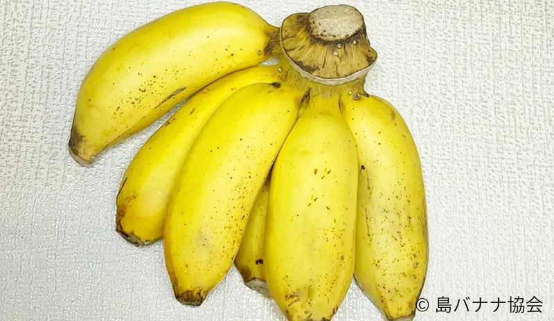 【沖縄県産幻のバナナリキュール！】「はじめましての島バナナ」販売開始