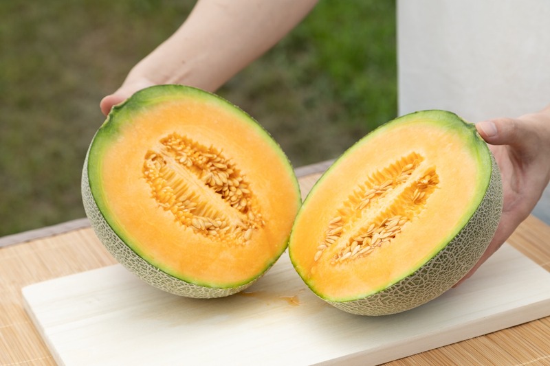 【美味しいモッタイナイ果実を使用！】「キリン 氷結®mottainai 富良野メロン（期間限定／セブン‐イレブン等限定）」新発売