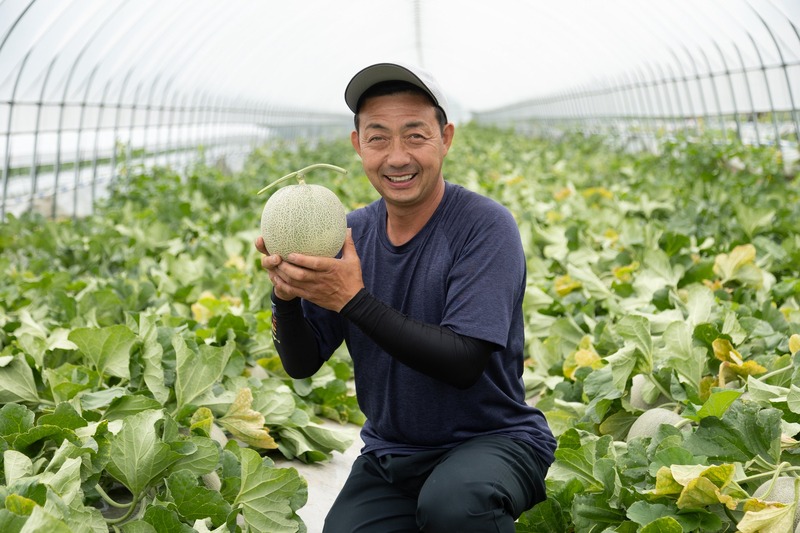 【美味しいモッタイナイ果実を使用！】「キリン 氷結®mottainai 富良野メロン（期間限定／セブン‐イレブン等限定）」新発売