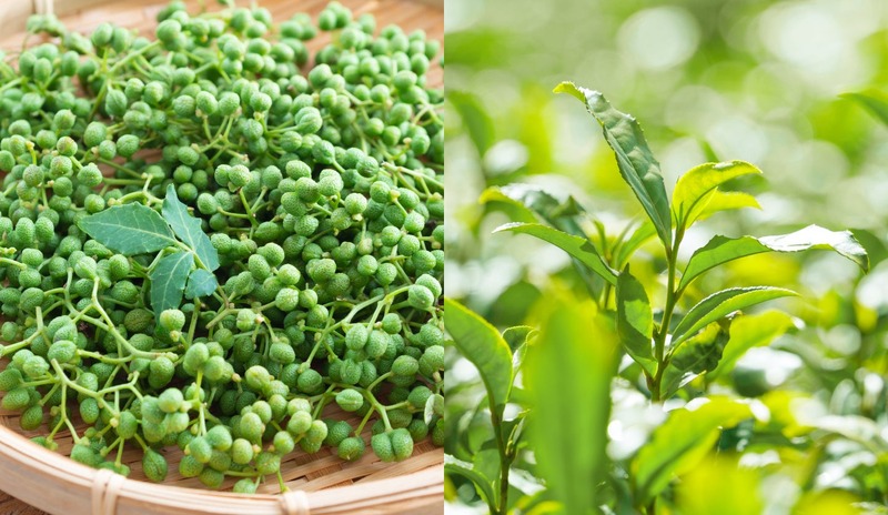 【希少な国産の生ジュニパーベリーを漬け込んだクラフトジン！】「Crystal Juniper（くりすたるじゅにぱー）」500本限定で販売