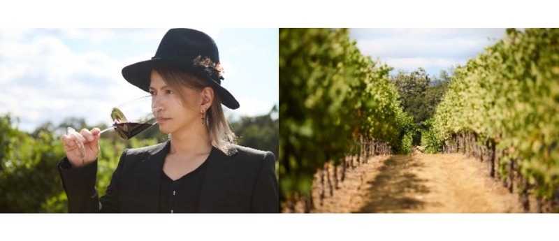 【HYDE（L'Arc-en-Ciel）プロデュース！至高のワインブランド】「VAMPROSE - HYDE WINES -」全国発売