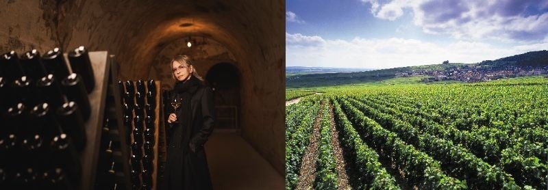【HYDE（L'Arc-en-Ciel）プロデュース！至高のワインブランド】「VAMPROSE - HYDE WINES -」全国発売