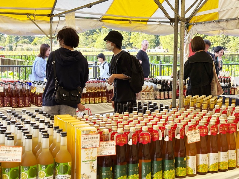 【120種以上の梅酒が横須賀に集結！】「全国梅酒まつり in 横須賀2026」秋バラと共に3日間開催
