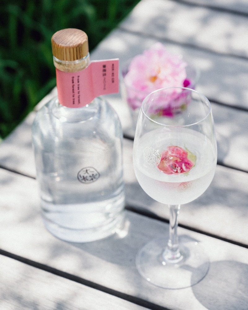 【みずみずしくピュアな薔薇の香り！】「森のジン 薔薇詩（バラード）2026」一般発売