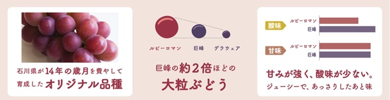 【夢のぶどうを使用したチューハイ！】「ルビーロマン®サワー」再発売