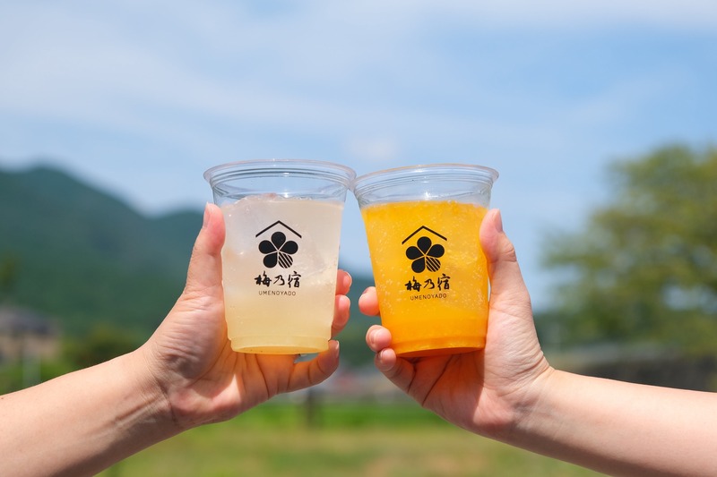 【豊富な日本酒やリキュールを楽しめる！】「梅乃宿秋の蔵開き2026」開催