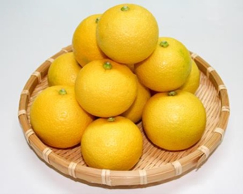 【大分県産「完熟かぼす」の魅力！】J-CRAFT TRIP「完熟かぼすサワー」新発売