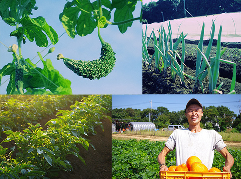 珍しいケールビールも。農場直送の朝穫れ野菜が堪能できる「スタンドバイファーム」を応援しよう！