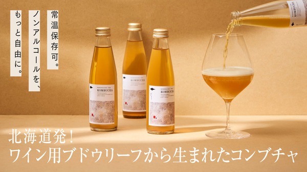【ノンアルコールの新しい未来！】これまでとは一線を画すコンブチャ「HOKKAIDO TEA KOMBUCHA」販売 画像
