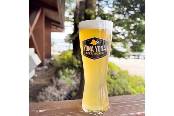 【爽快なメキシカンラガー！】よなよなビアワークス「Sorachi amigos Mexican Lager」提供開始 画像