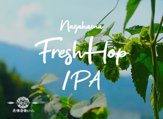 【生ホップを使用したフレッシュホップIPA！】限定醸造ビール「Nagahama Fresh Hop IPA」販売 画像