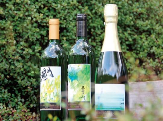 【指定文化財・樹齢110年の原木から枝分けした葡萄を醸造！】希少な「三森甲州」ワイン3種が発売 画像