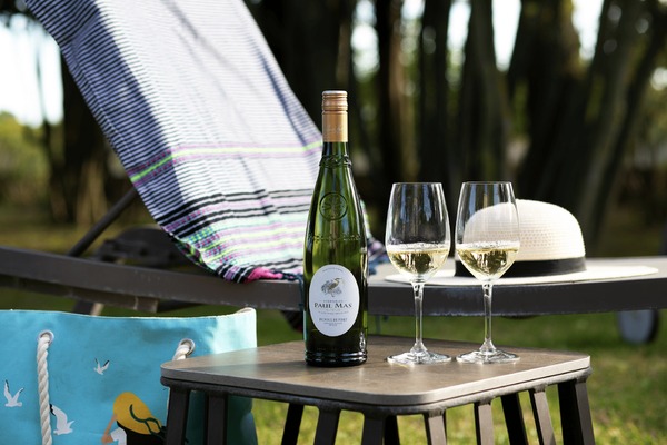 【魚介のための白ワイン！】「ポール・マス ピクプール・ド・ピネ 2024」取り扱い開始 画像