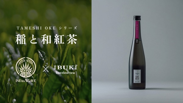 【紅茶を使ったのにマスカットのような香り！？】クラフトサケ「稲と和紅茶」が新登場 画像
