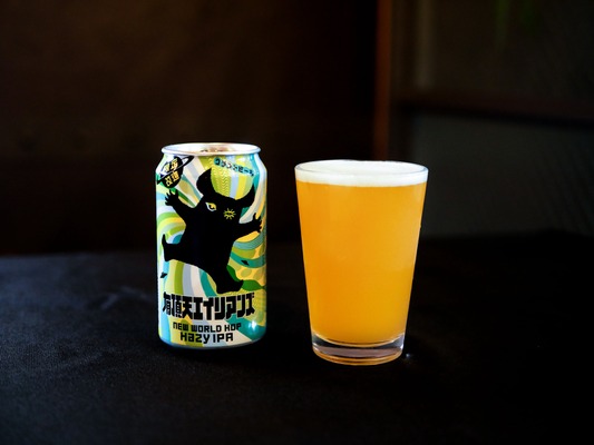 【初の限定製品！】「限定改造 有頂天エイリアンズ New World Hop」セブンで発売 画像