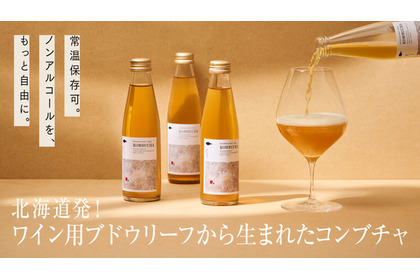 【ノンアルコールの新しい未来！】これまでとは一線を画すコンブチャ「HOKKAIDO TEA KOMBUCHA」販売 画像