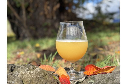 【香りを探求する