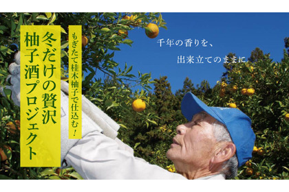 【12月に採れた柚子をお酒に！】「もぎたて桂木柚子で仕込む！冬だけの贅沢柚子酒プロジェクト」販売 画像