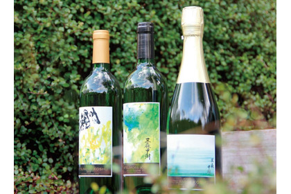 【指定文化財・樹齢110年の原木から枝分けした葡萄を醸造！】希少な「三森甲州」ワイン3種が発売 画像
