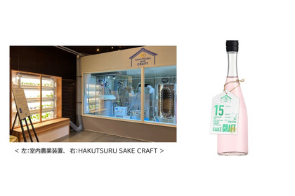 【ハーブが香るSAKE！】「HAKUTSURU SAKE CRAFT №15 ホップ＆バジル」263本限定で発売 画像