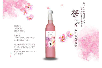 【桜餅のような香りを溶け込ませた梅酒！】初春に寄り添う1本「桜ほの香 万上桜葉梅酒」が発売 画像