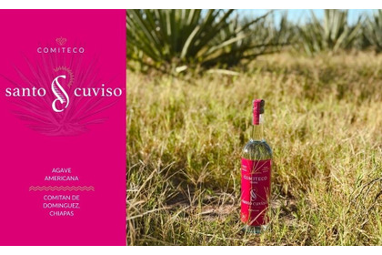 【地理的表示で保護！】伝統的アガベスピリッツ「COMITECO（コミテコ）」が新たに入荷 画像