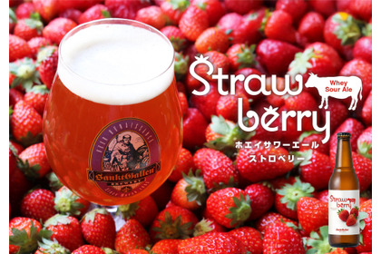【乳酸菌 × 苺！常識を覆す味わいのビール】「ホエイサワーエール ストロベリー」限定発売 画像
