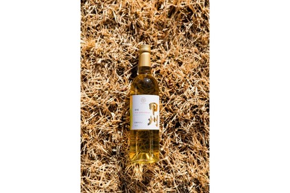 【新世代のアイデア炸裂！】華やかで上品な甘口の甲州ワイン「甲州クリオ・エクストラクション 2025」数量限定発売 画像