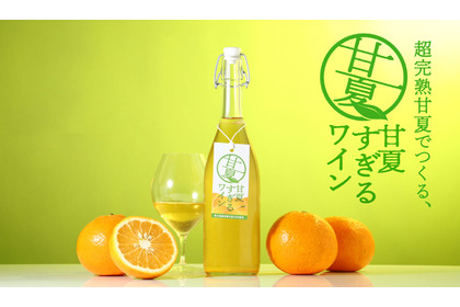 【甘夏100%で造るフルーツワイン！】ピュアな魅力を極めた「甘夏すぎるワイン」販売開始 画像