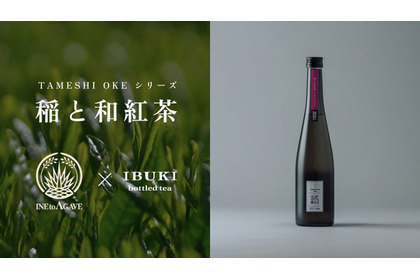 【紅茶を使ったのにマスカットのような香り！？】クラフトサケ「稲と和紅茶」が新登場 画像