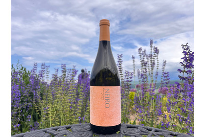 【樹齢約40年のバッカス品種を使用！】NIKI Hills Wineryの最新ヴィンテージワイン「NEIRO 2025」リリース 画像