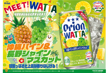 【2つの主役級フルーツが出会った！】「WATTA 沖縄パイン＆長野シャインマスカット」数量限定発売 画像