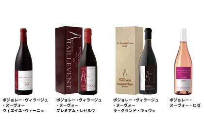 【2026年産のフランスの新酒・ボジョレー・ヌーヴォー！】実力派ブランド「タイユヴァン」「ジル・ド・ラモア」発売 画像
