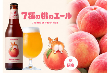 【4年ぶりのボトル販売！】まるで桃のネクターな「7種の桃のエール」登場 画像