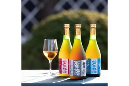 【“日本一の梅酒”が父の日限定ギフトセット発売！】『百年梅酒』老舗酒造が贈る特別な3本セット 画像