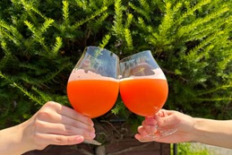 【野菜ジュースのようなクラフトビール！】よなよなビアワークス「Carrot Smoothie Ale」提供 画像