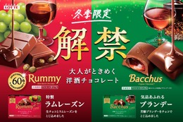 【本格洋酒チョコレート「ラミー」「バッカス」発売！】洋酒使用量20%アップの「カスタードケーキ＜バッカス仕立て＞個売り」も発売 画像