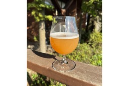 【ビールの常識を覆す