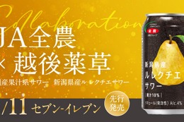 【新潟産の希少な「幻の洋梨」を使用！】国産果汁系サワー「ル レクチエサワー」発売 画像