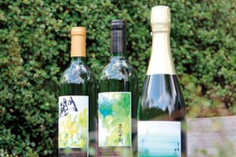 【指定文化財・樹齢110年の原木から枝分けした葡萄を醸造！】希少な「三森甲州」ワイン3種が発売 画像