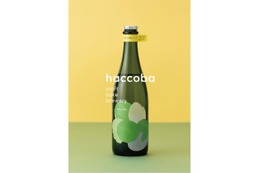 【新時代のSake！】「haccoba -Craft Sake Brewery-」のお酒が「ふるさと納税返礼品」に登場 画像