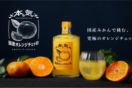 【南イタリアの伝統酒を日本で再構築！】国産クラフトリキュール「本気の国産オレンジチェッロ」販売 画像