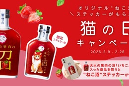 【猫の日を彩る「ねこ沼」ステッカー付き！】『PARLORあらごし 大人の果肉の沼「いちご」』限定セットが販売 画像