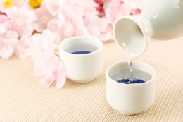 【日本酒イベントの情報が目白押し！】「日本酒イベントカレンダー 2026年3月版」をチェックしよう 画像